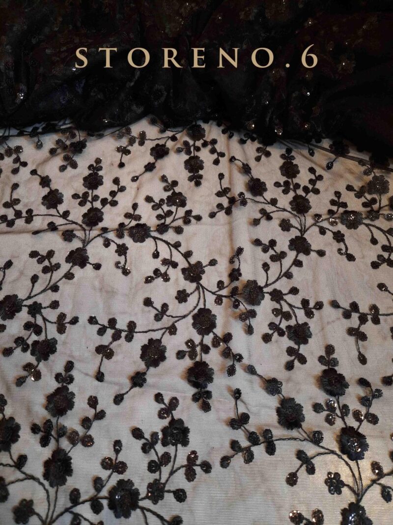 SHINE IN BLACK SAREE