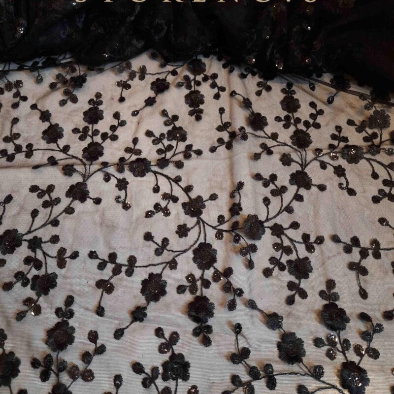 SHINE IN BLACK SAREE
